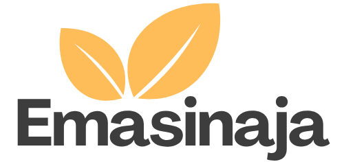 Emasinaja